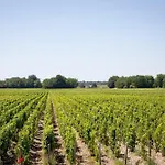 Holiday home Chateau Malescasse *