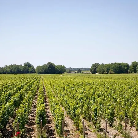 Holiday home Chateau Malescasse *