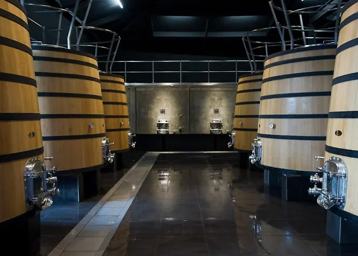 Chateau Malescasse Feriehus Lamarque