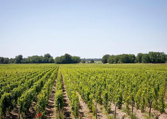 Feriehus Chateau Malescasse *