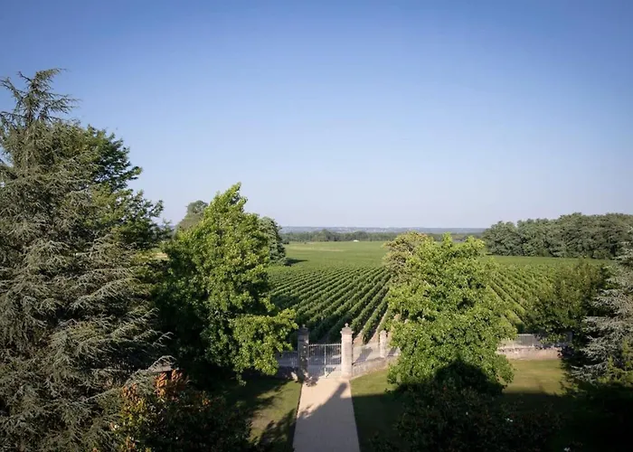 Chateau Malescasse Lamarque